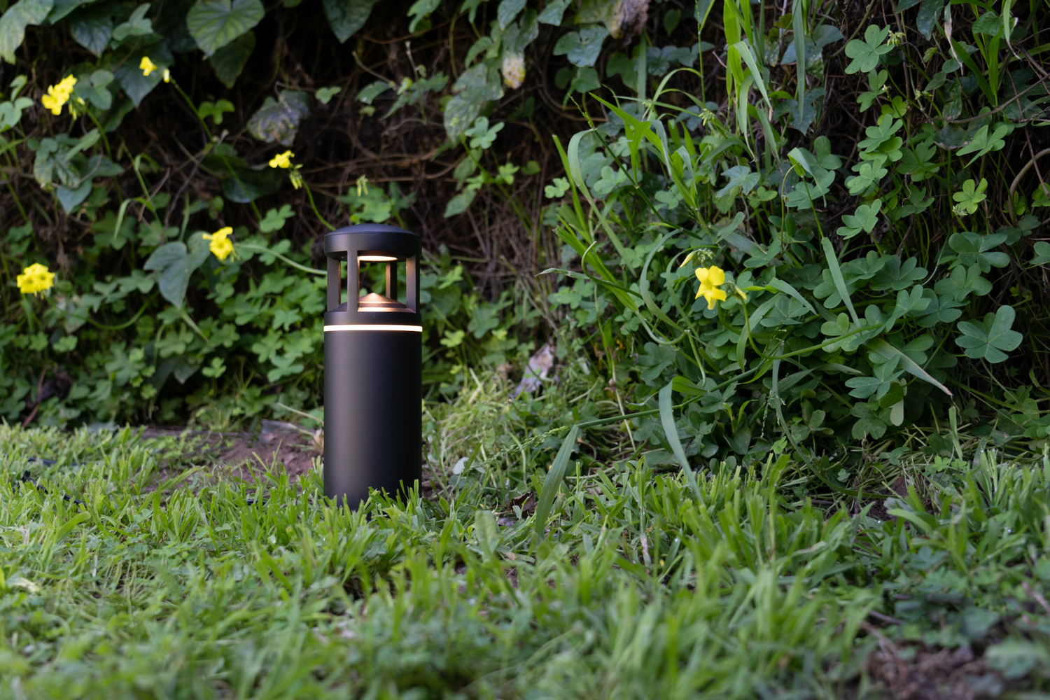 The Best Solar / Hardwired Pathway Lights in 2023