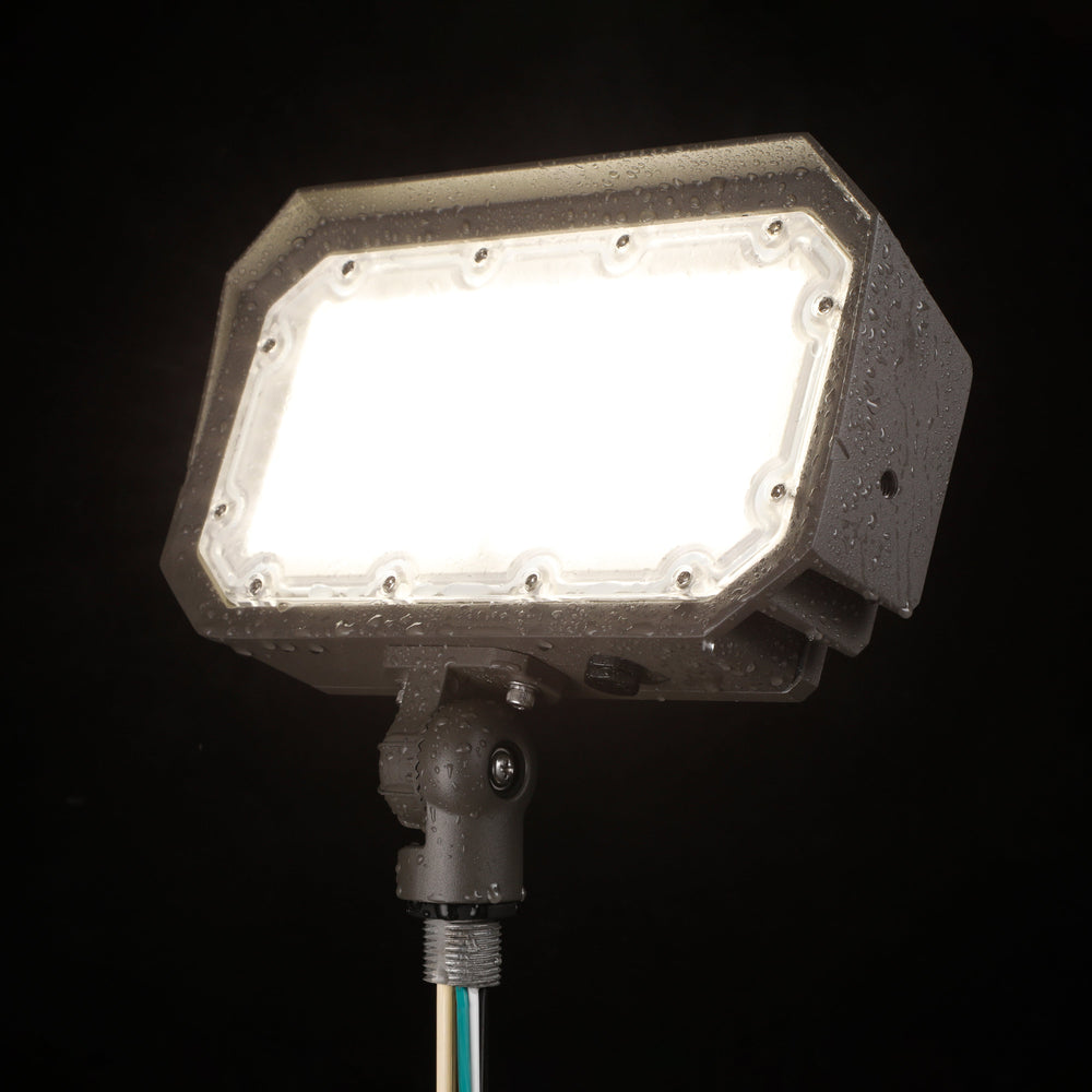 TruffleShine 50W LED Flood Light - Brown - 5000K