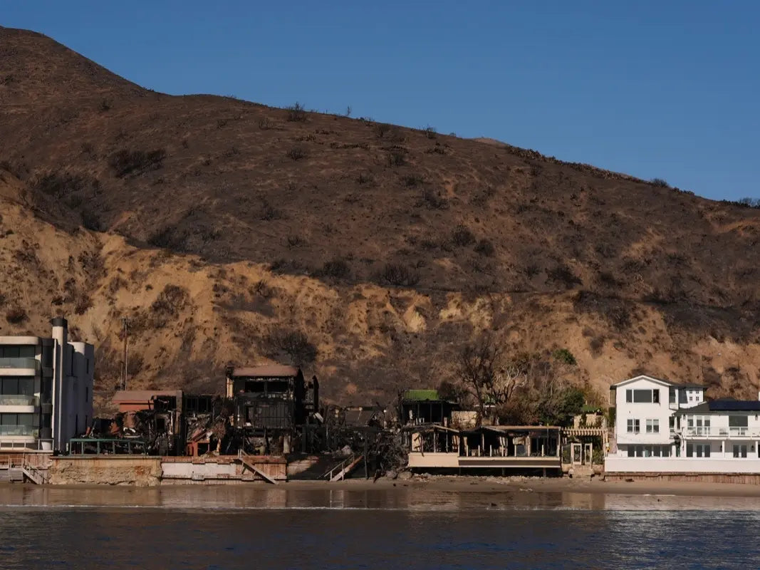 Coastline homes damaged and destroyed by the Palisades Fire, and some spared, are seen from the water, Wednesday, Jan. 15, 2025, in Malibu, Calif. (AP Photo/Carolyn Kaster)