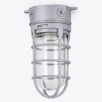 TORCHSTAR Caged Jelly Jar E26 Vapor Tight Ceiling Light - E26 Base - Gray