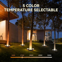 TORCHSTAR LED Low Voltage Landscape Tree Ring Light - 11W - 5CCT Black - 3-Pack