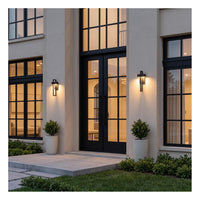 TORCHSTAR 19 Inch T-Shape LED Down Outdoor Wall Light - 12W - 5CCT - Black