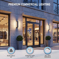 TORCHSTAR 20 Inch Hollow Square Frame LED Side-Lit Outdoor Wall Light - 18W - 5CCT - Black