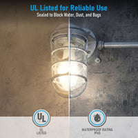TORCHSTAR Caged Jelly Jar E26 Vapor Tight Wall Light - E26 Base - Gray