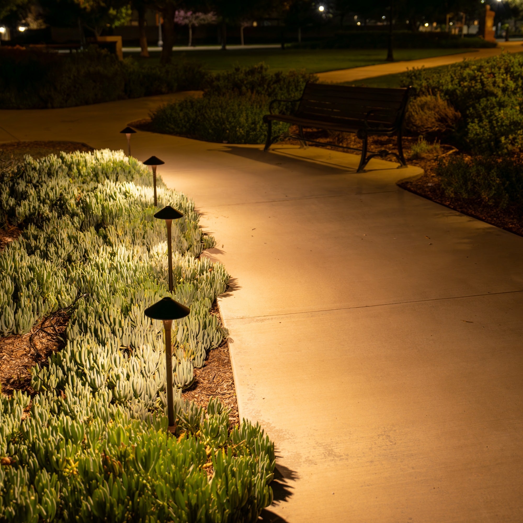 XGEN™ Cono LED Path Light - Adjustable Color Temperature