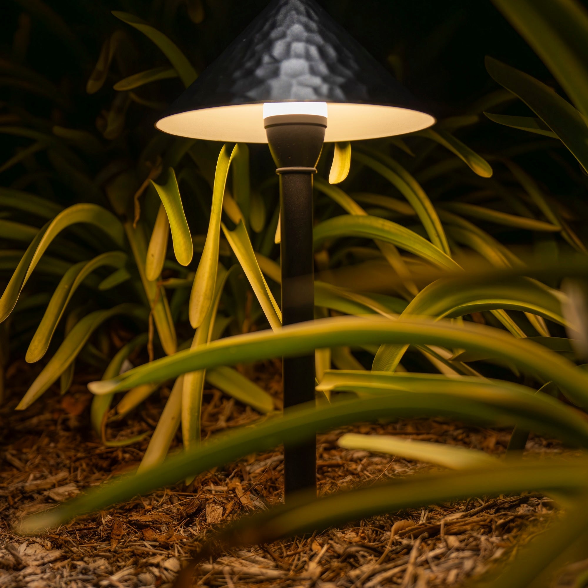 Nero Gold LED Path Light - 3000K