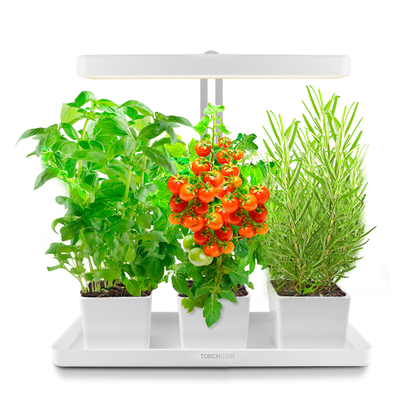 HerbaLux™ Height-Adjustable Grow Light