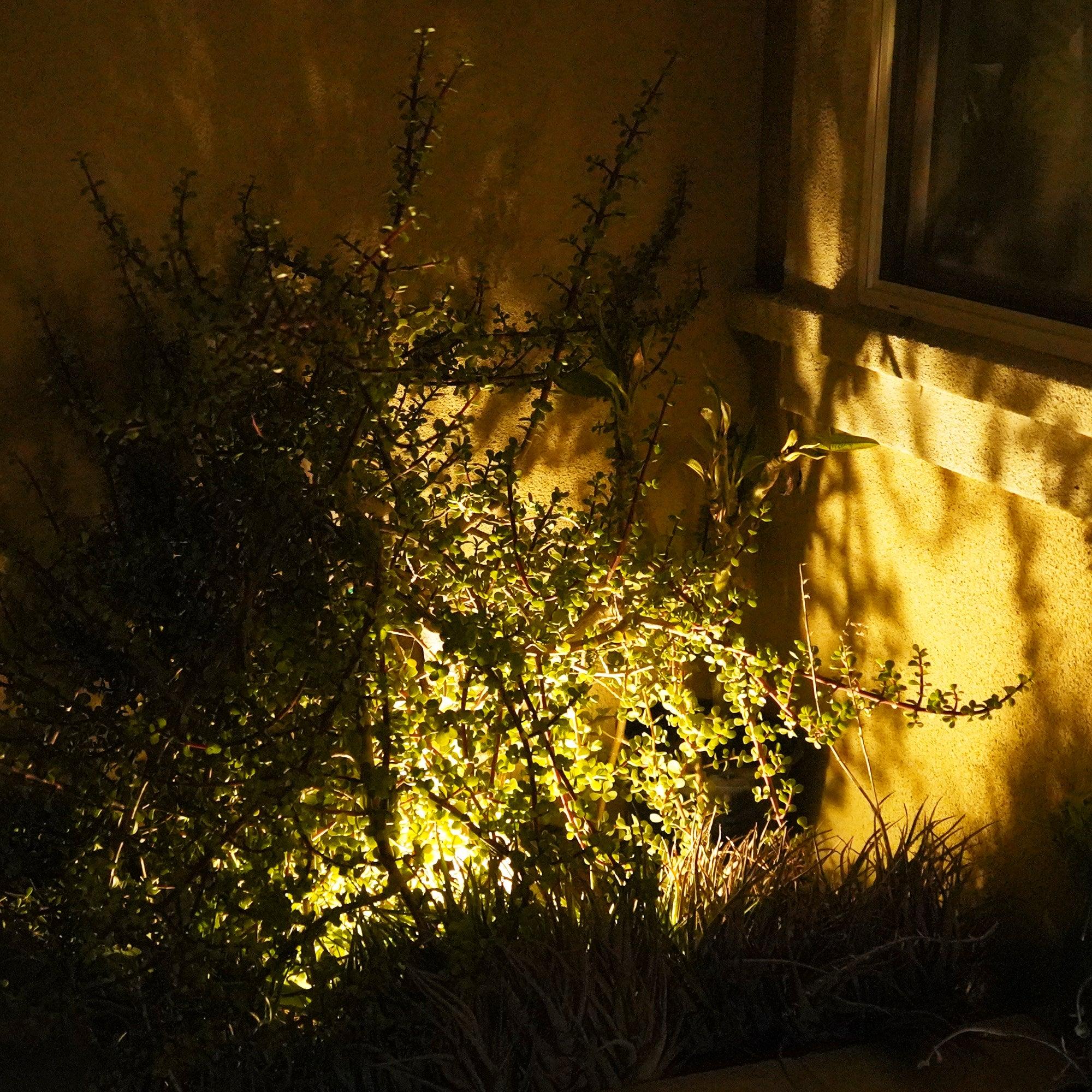 Shielded In-Grade Well Light - 3000K – Torchstar Lighting