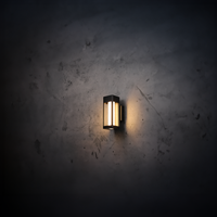 Relic™ 8W Outdoor Wall Sconce