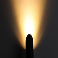 LeonLite XGEN™ Acuto Tall Spot Light - Adjustable Color Temperature