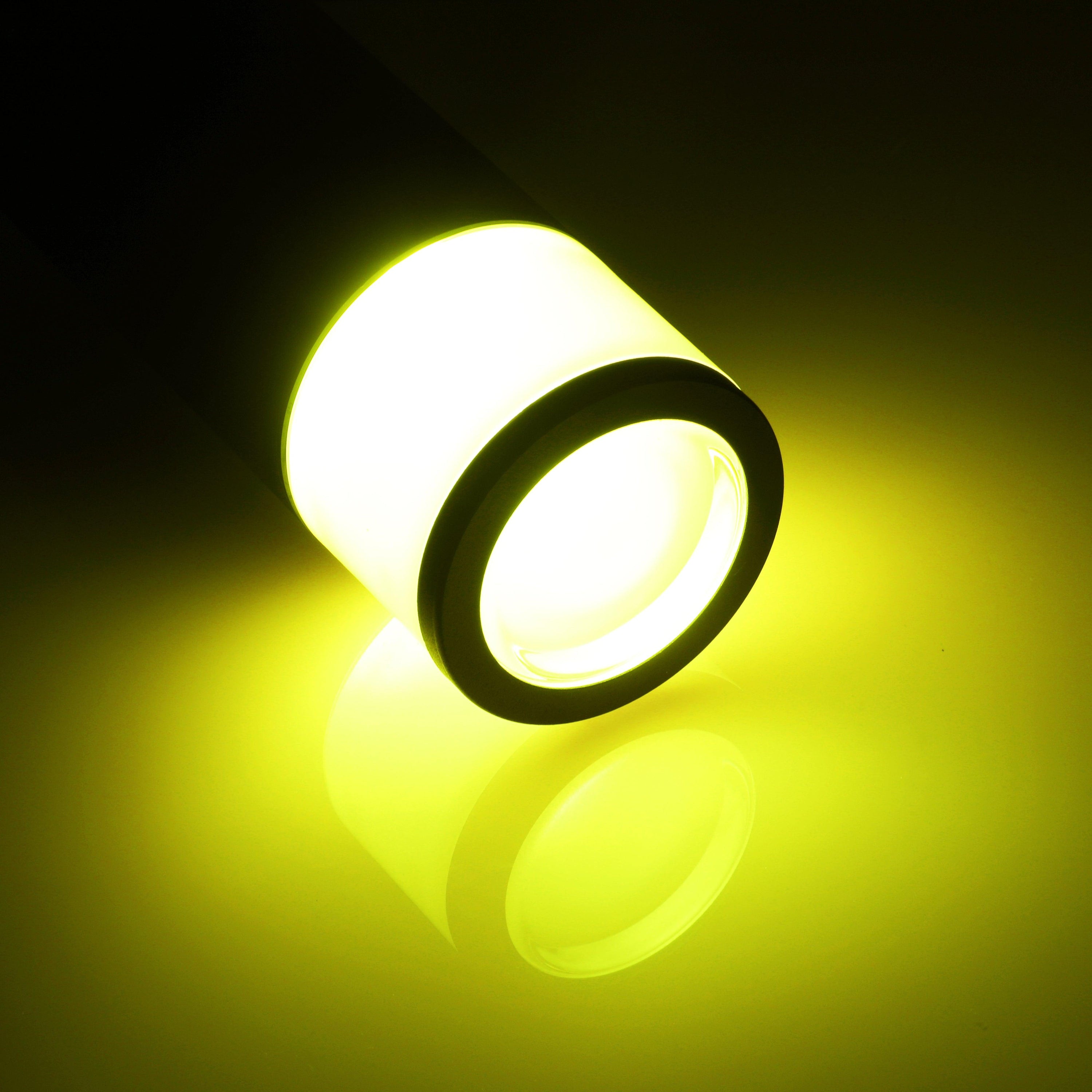 LeonLite® O-ring Colorato Path & Area Light - RGB White