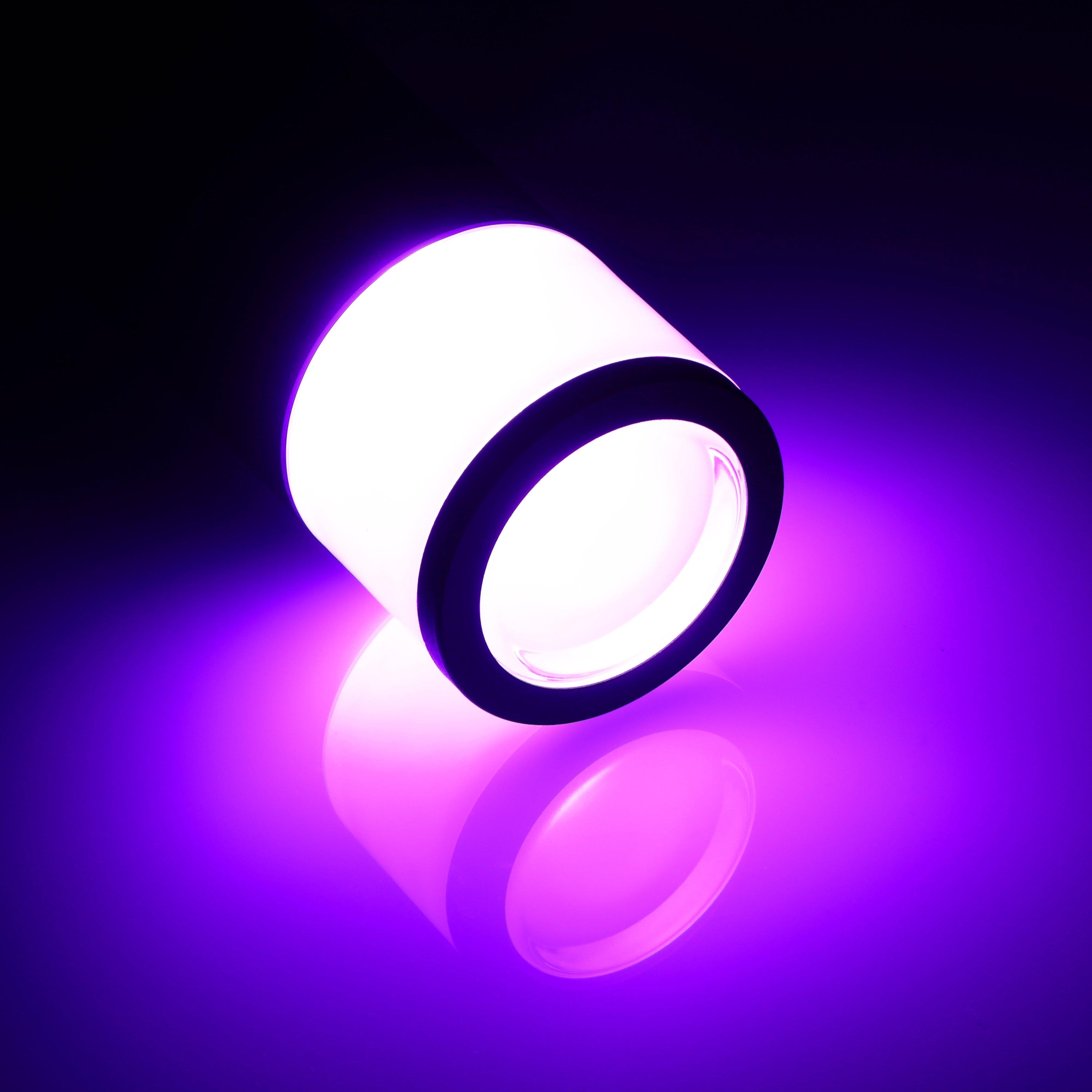LeonLite® O-ring Colorato Path & Area Light - Smart Control with Your Phone