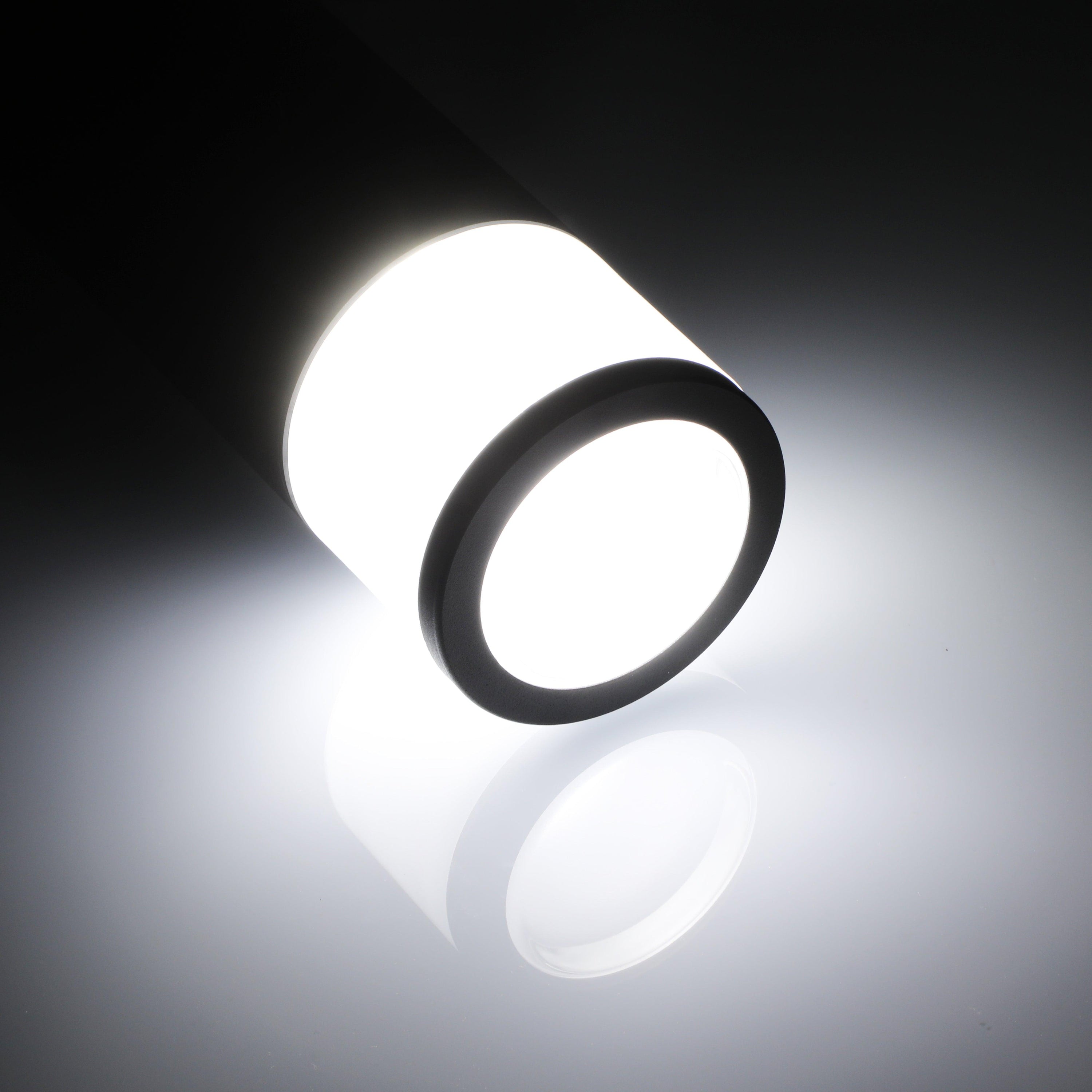 LeonLite® O-ring Colorato Path & Area Light - Smart Control with Your Phone